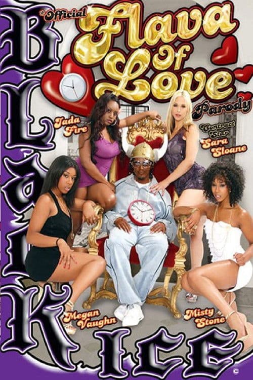Official Flava of Love Parody poster