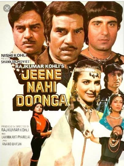 Jeene Nahi Doonga poster