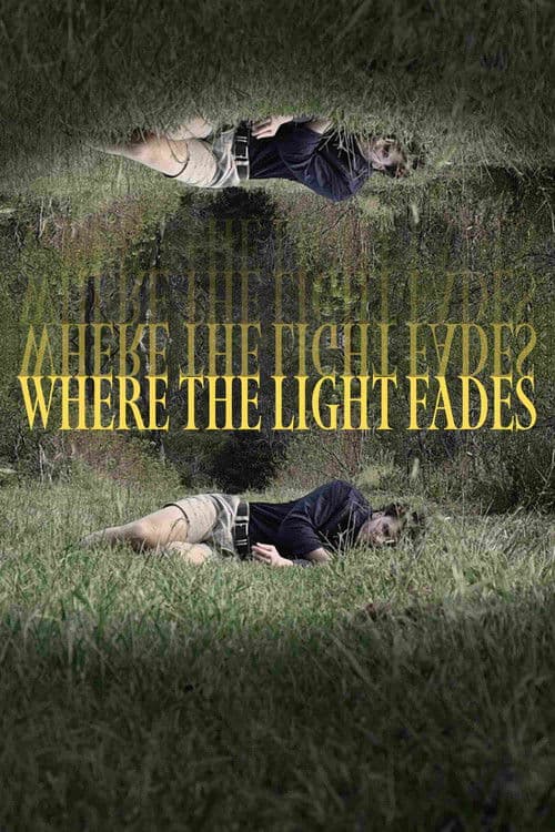 Where the Light Fades poster