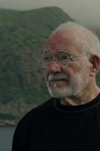 Chão Verde de Pássaros Escritos poster