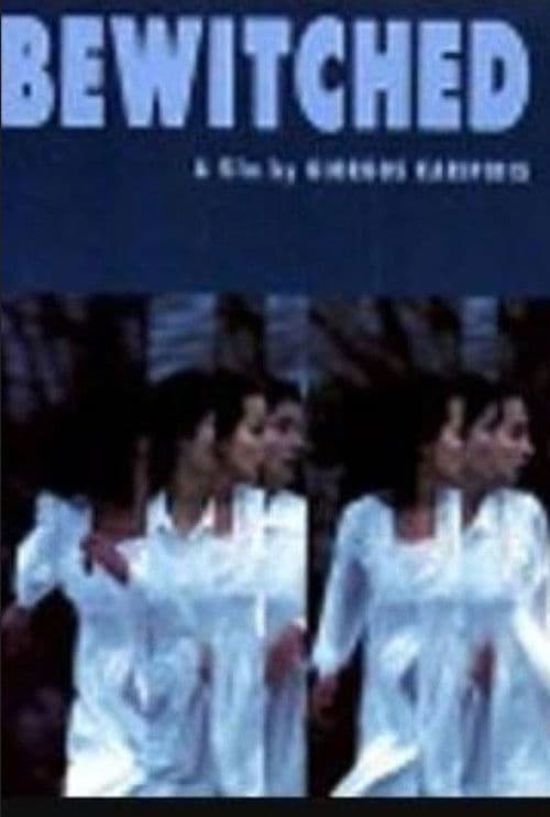 The Bewitched poster