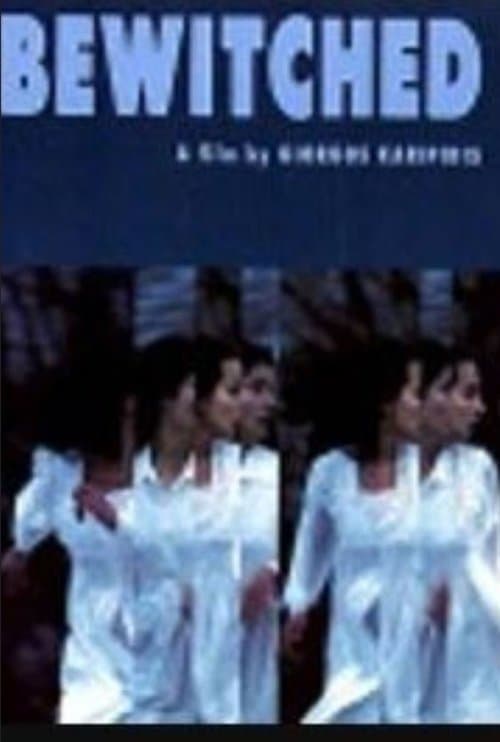 The Bewitched poster