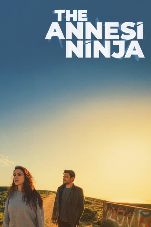 The Annesi Ninja poster
