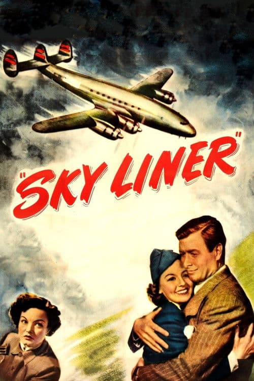 Sky Liner poster