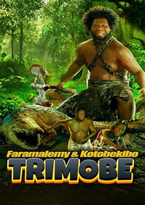 Trimobe 3D poster