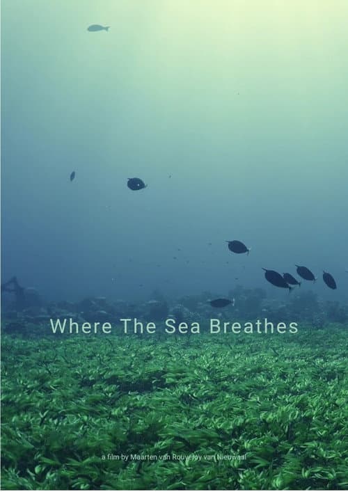 Where The Sea Breathes poster