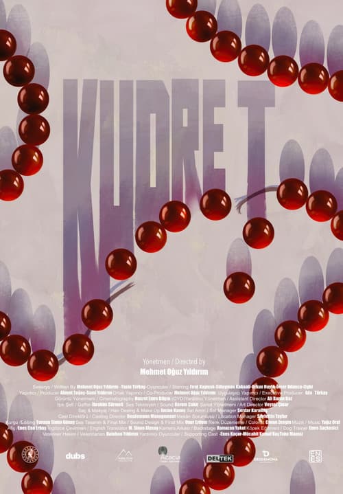 Kudret poster