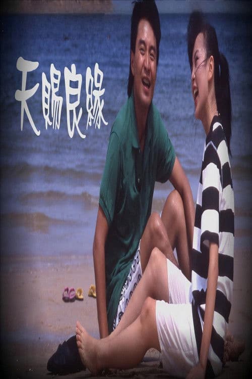 天賜良緣 poster