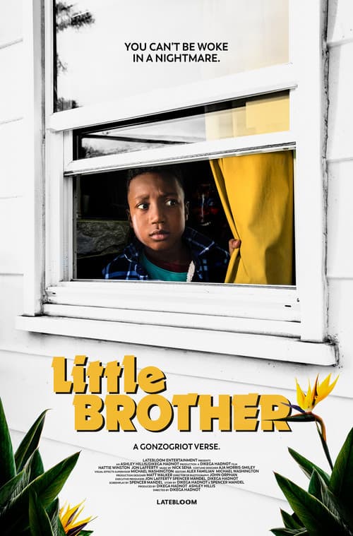 Little Brother poster