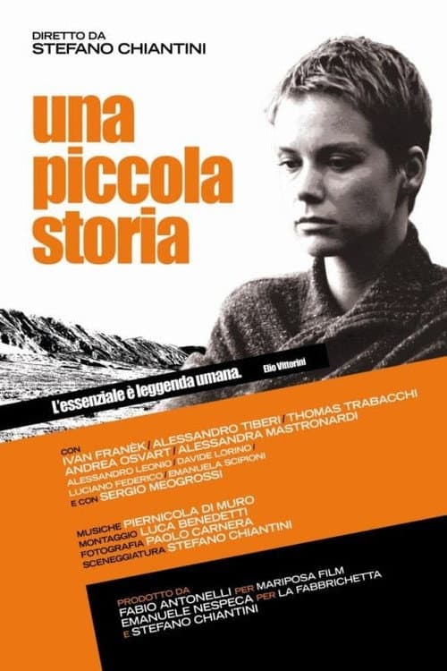 Una piccola storia poster
