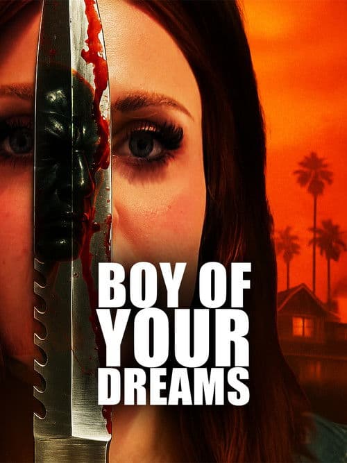 Boy of Your Dreams poster
