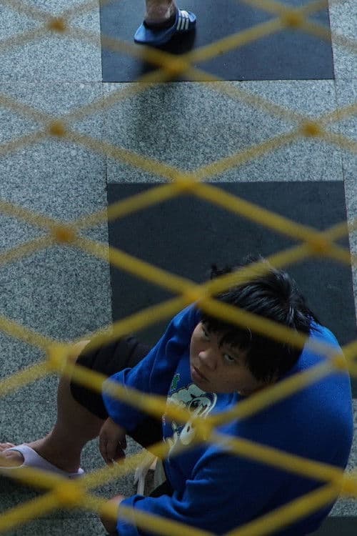 Spawning Migration poster