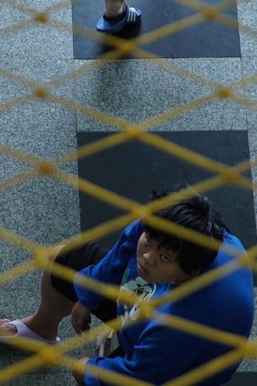 Spawning Migration poster