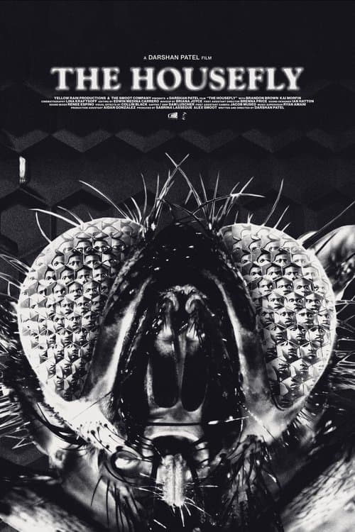 The Housefly poster