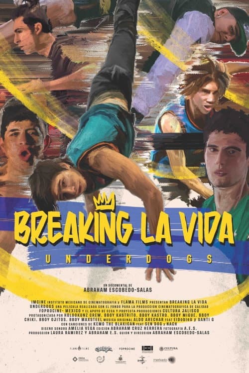 Breaking Life poster
