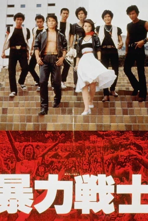 Violent Fighters poster