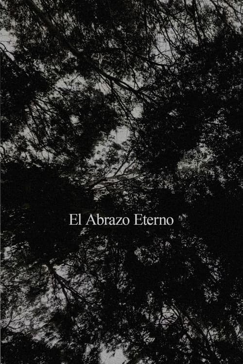 El Abrazo Eterno poster