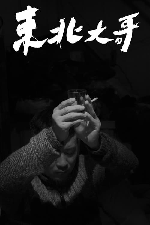 Tiger in the Zoo poster