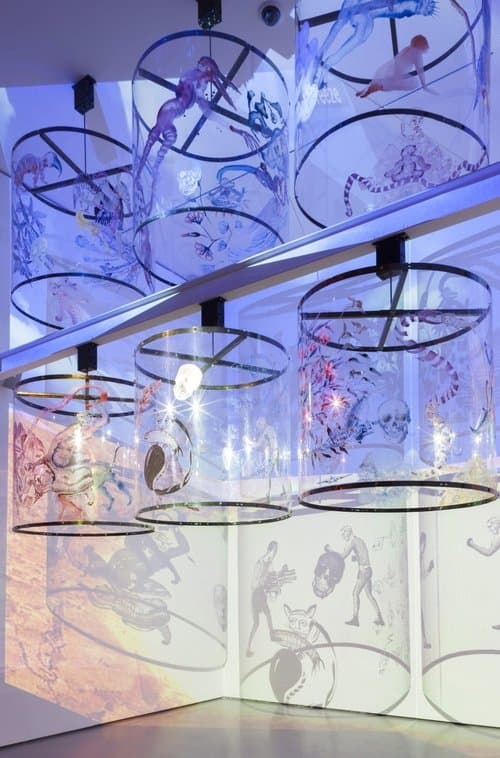 In Search of Vanished Blood