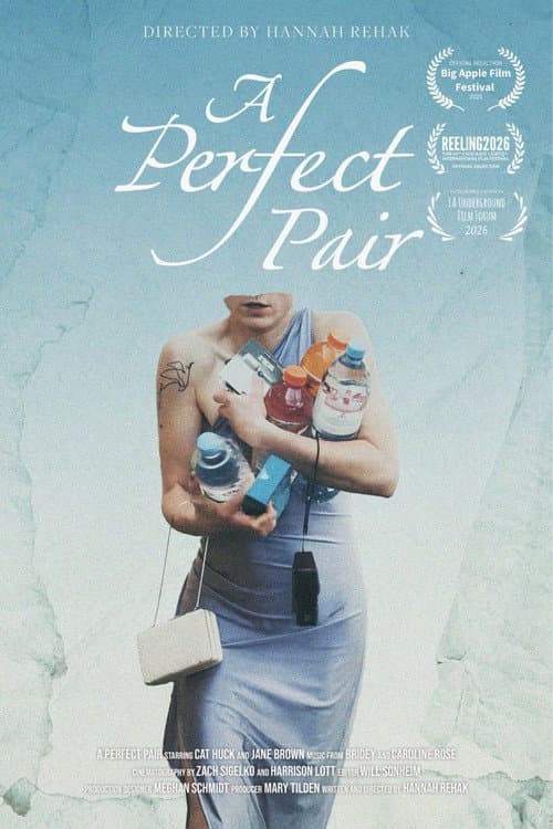 A Perfect Pair poster