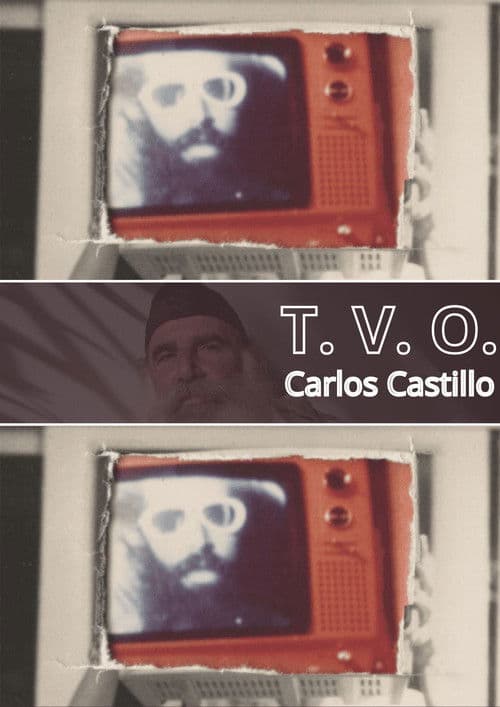 T.V.O. poster