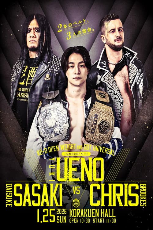 DDT Mission in Battle ～new year splendor～ poster