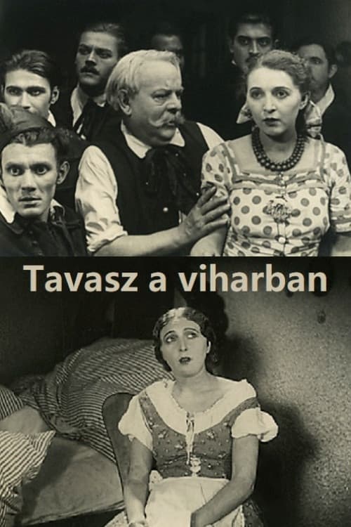 Tavasz a viharban poster