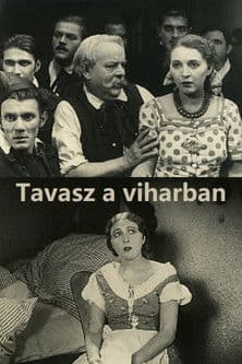 Tavasz a viharban poster