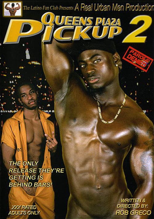 Queens Plaza Pickup 2: Parole Denied poster