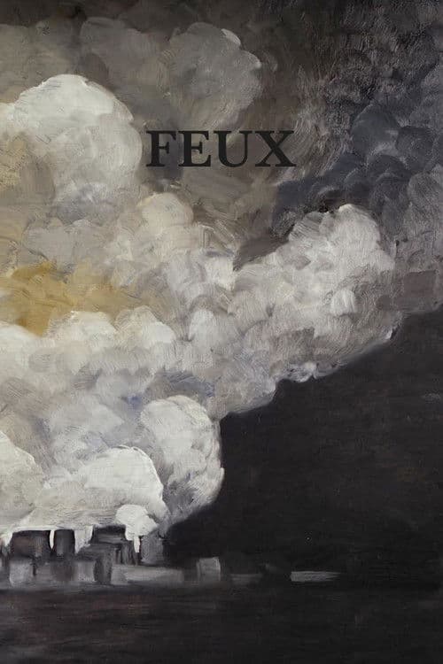 Feux poster