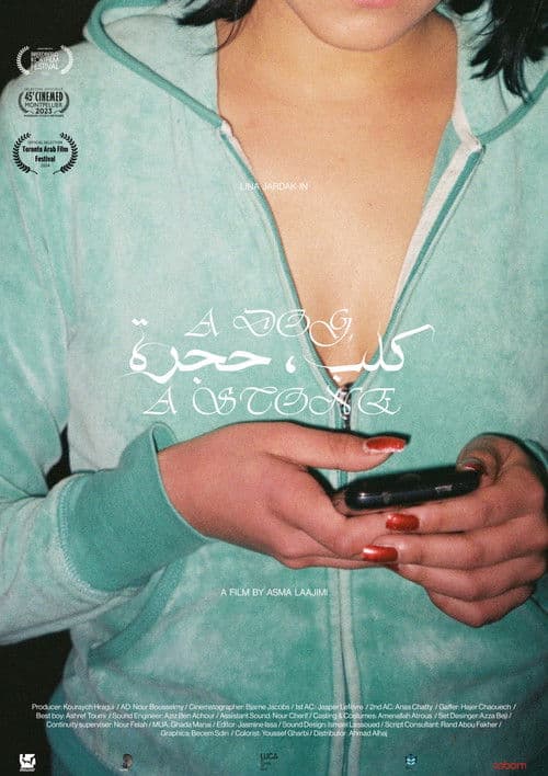 A Dog, A Stone poster