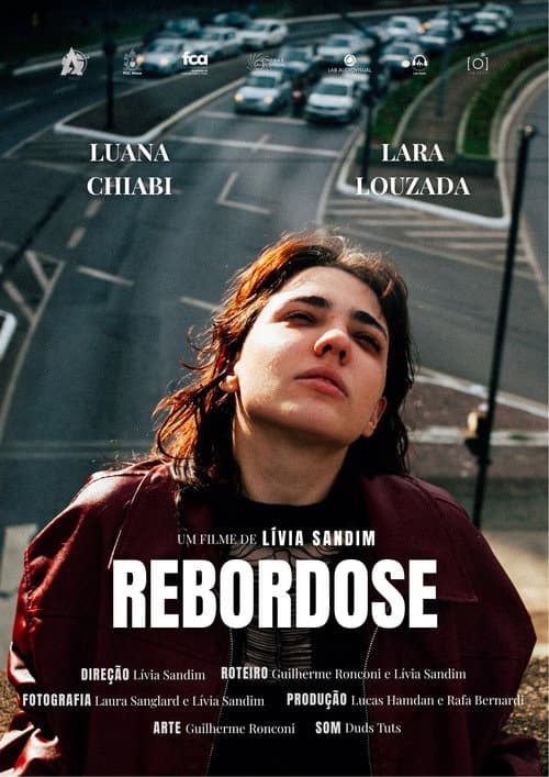REBORDOSE poster