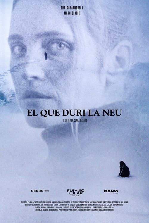 As long as it snows poster