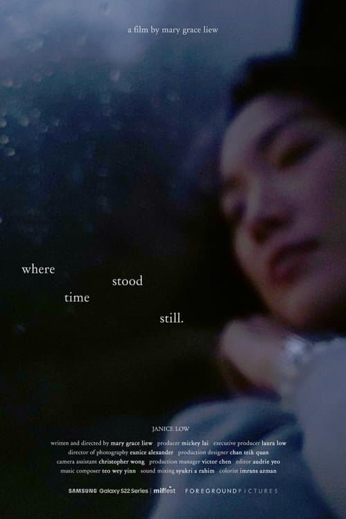 where time stood still poster