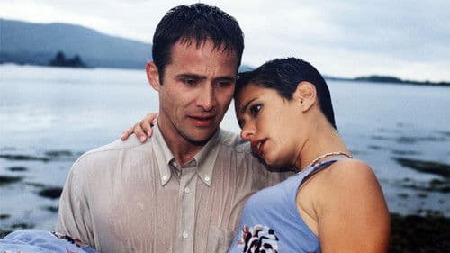 Rosamunde Pilcher: Die zweite Chance poster