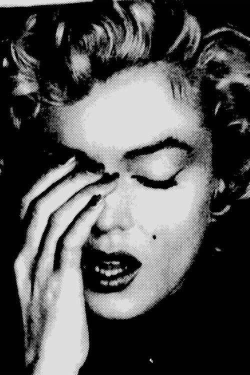 The Marilyn Files poster