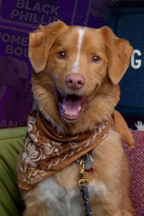 Indy profile photo