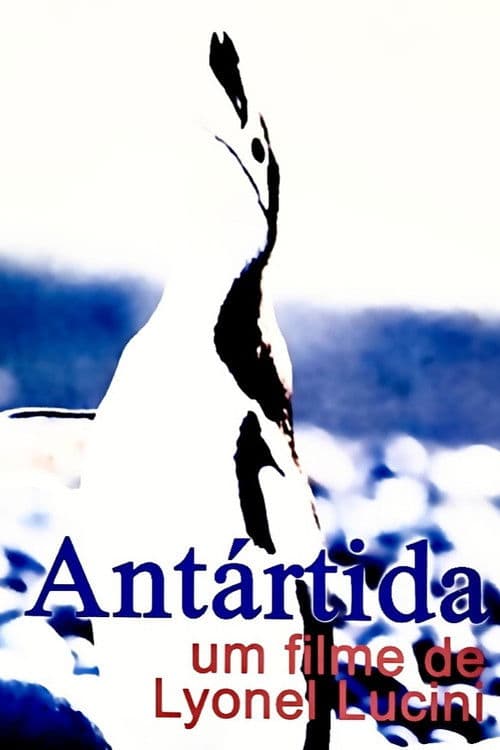 Antártida poster