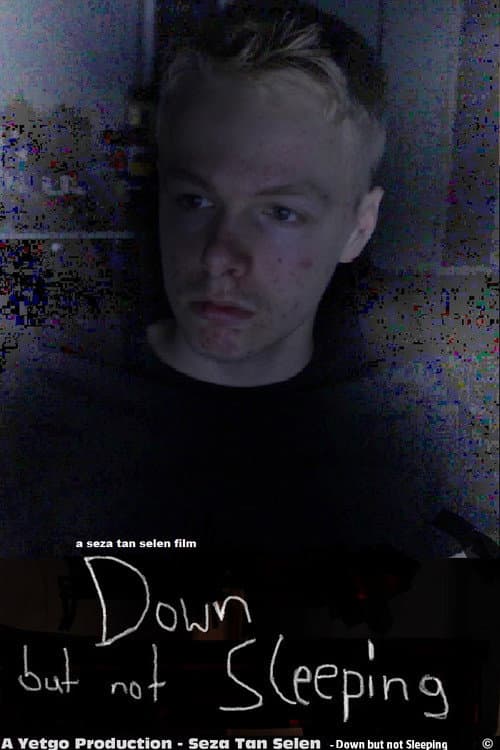 Down but not Sleeping poster