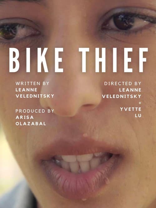 Bike Thief poster