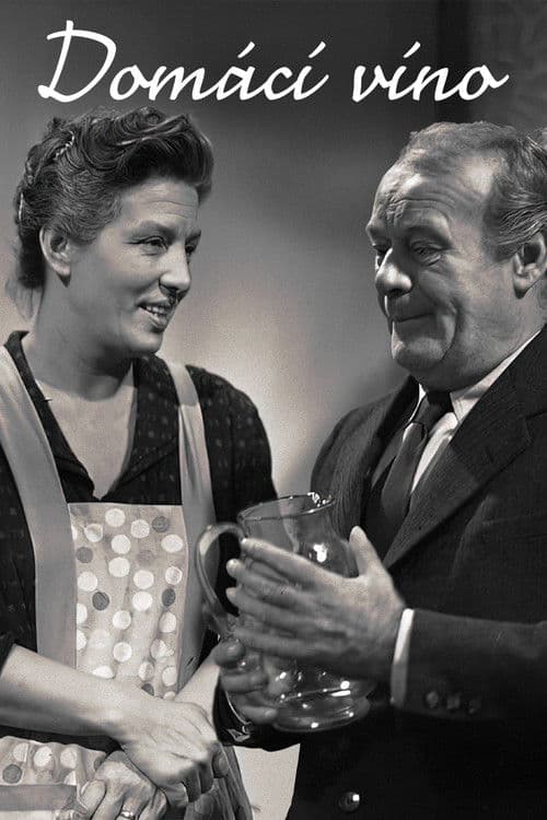 Domácí víno poster