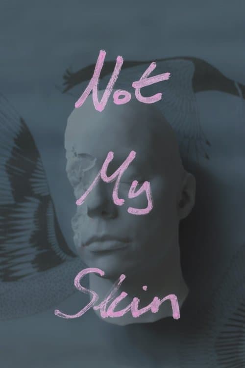 Not My Skin poster