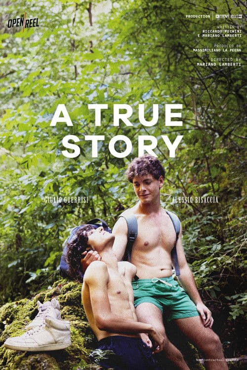 A True Story poster