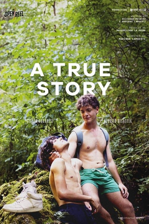 A True Story poster