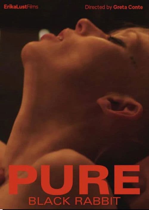 Pure - Black Rabbit poster