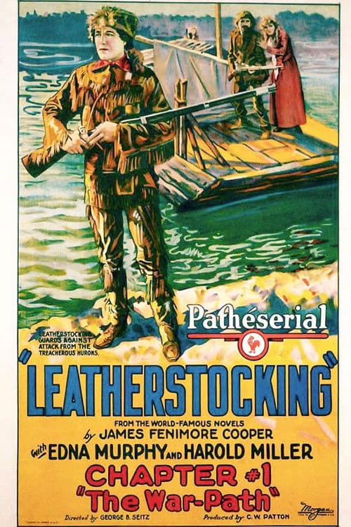 Leatherstocking poster