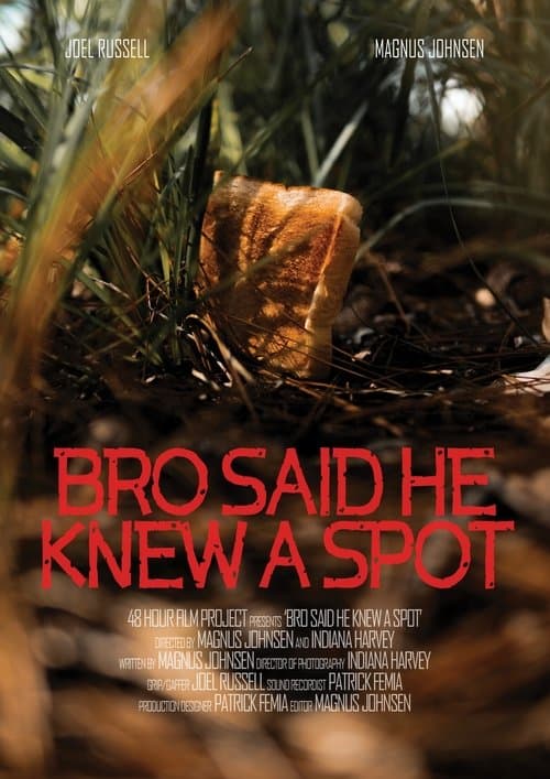 Bro Said He Knew A Spot poster