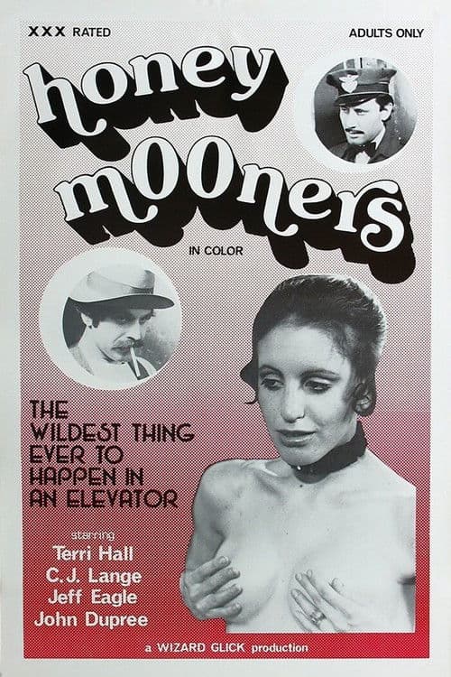 The Honeymooners poster