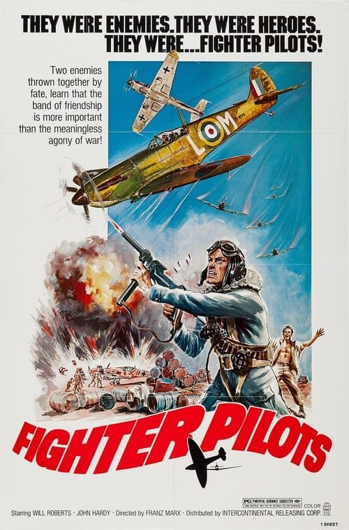 Fighter Pilots poster