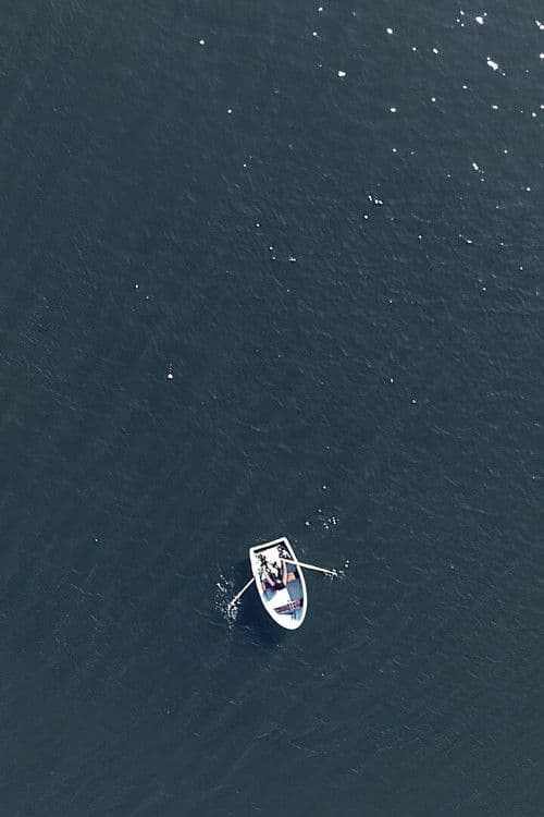 Your Eyes Will Be an Empty Word poster